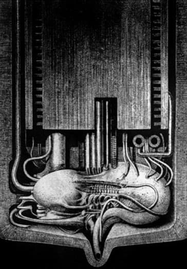 صورة من الملتقى 4